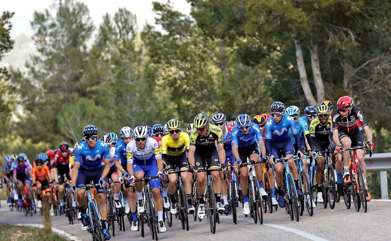 El pelotón, durante la cuarta etapa de la pasada edición de la Volta.