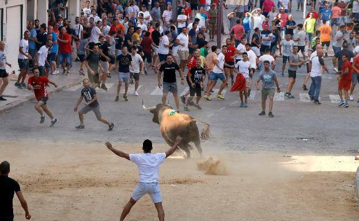 Un festejo taurino celebrado en 2019. 