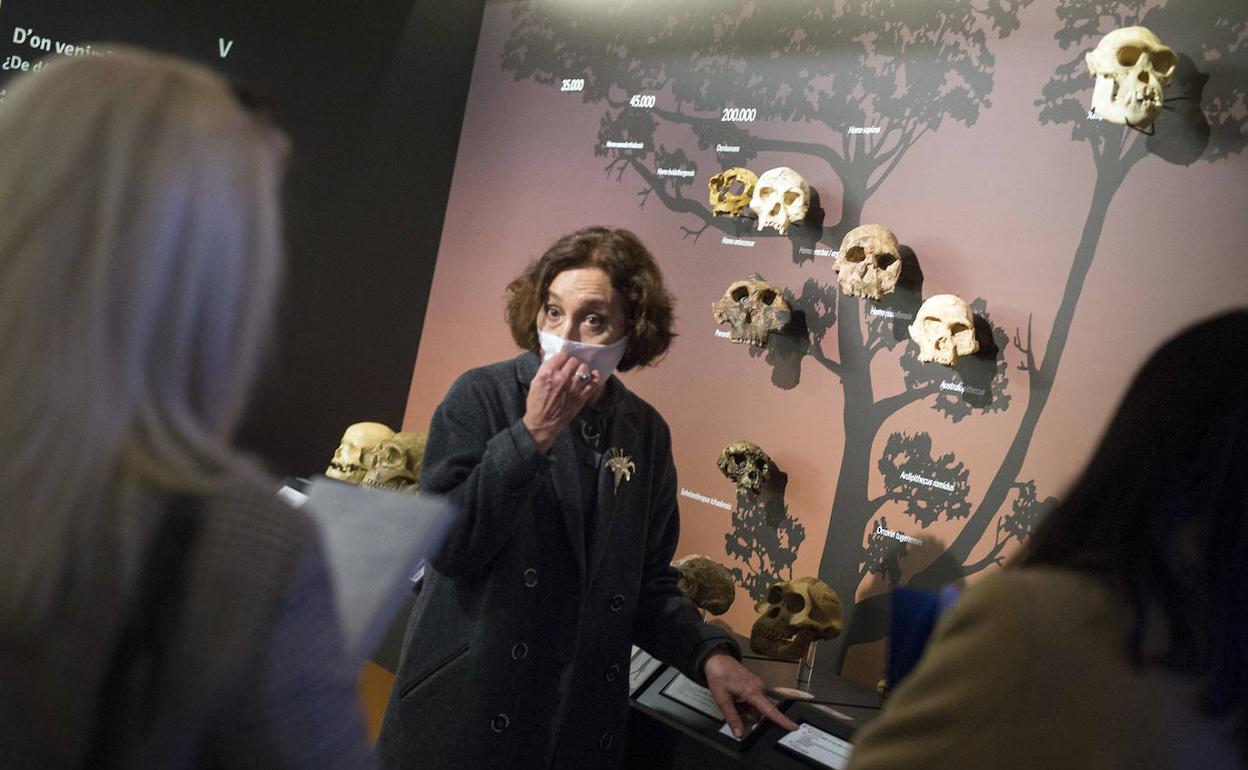 Imagen de la presentación el pasado diciembre de la nueva exposición permanente del Museo de Prehistoria. 