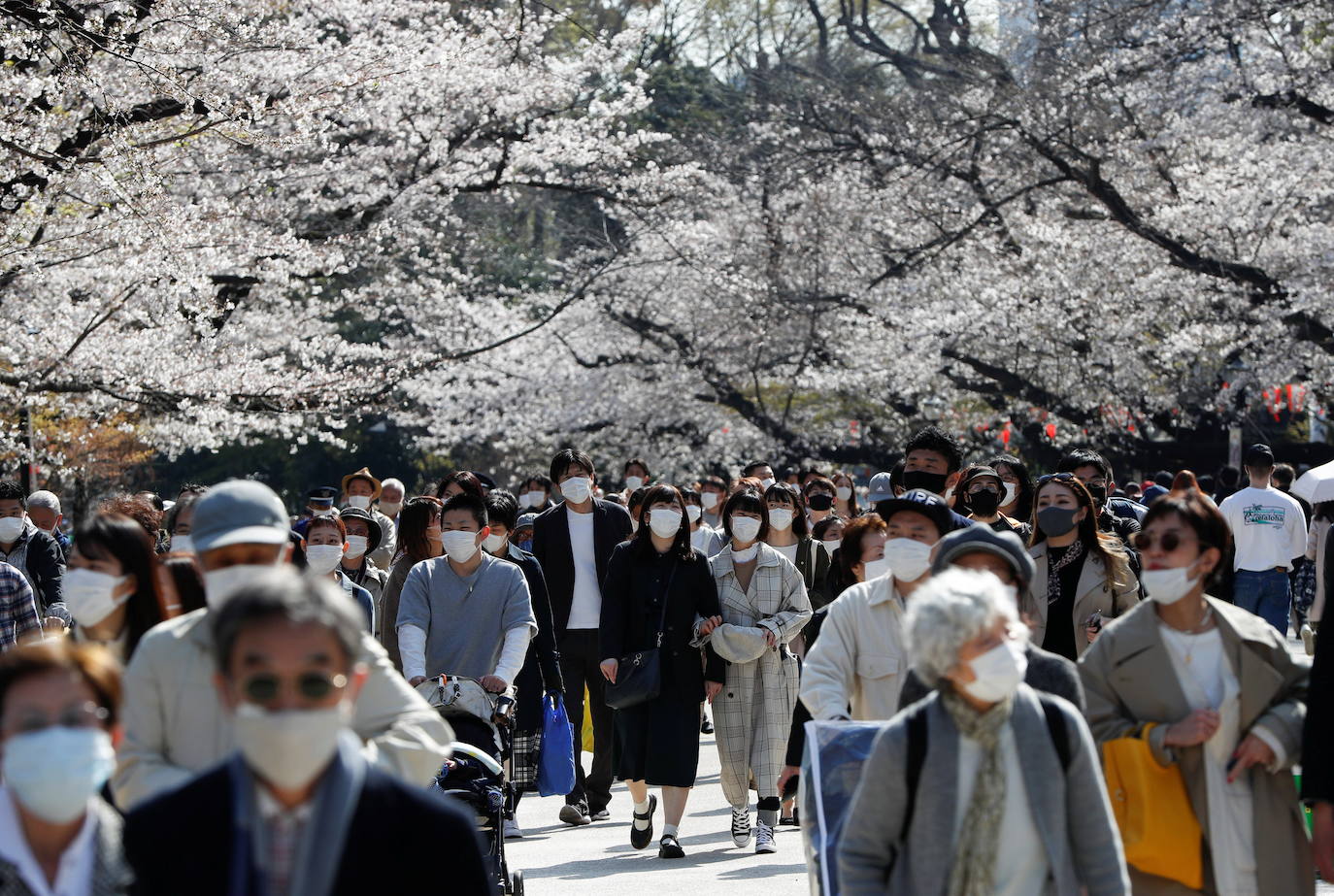 Con la primavera llega el 'Sakura' a Tokio, y a otros lugares del mundo. O lo que es lo mismo: la floración de los cerezos. Los colores que regalan hacen de Japón uno de los destinos turísticos preferidos por los viajeros