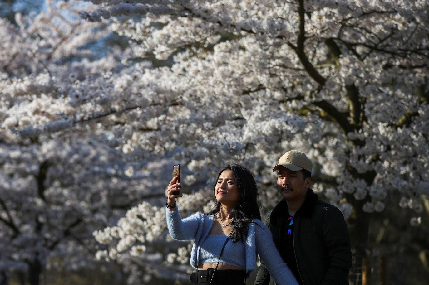 Con la primavera llega el 'Sakura' a Tokio, y a otros lugares del mundo. O lo que es lo mismo: la floración de los cerezos. Los colores que regalan hacen de Japón uno de los destinos turísticos preferidos por los viajeros