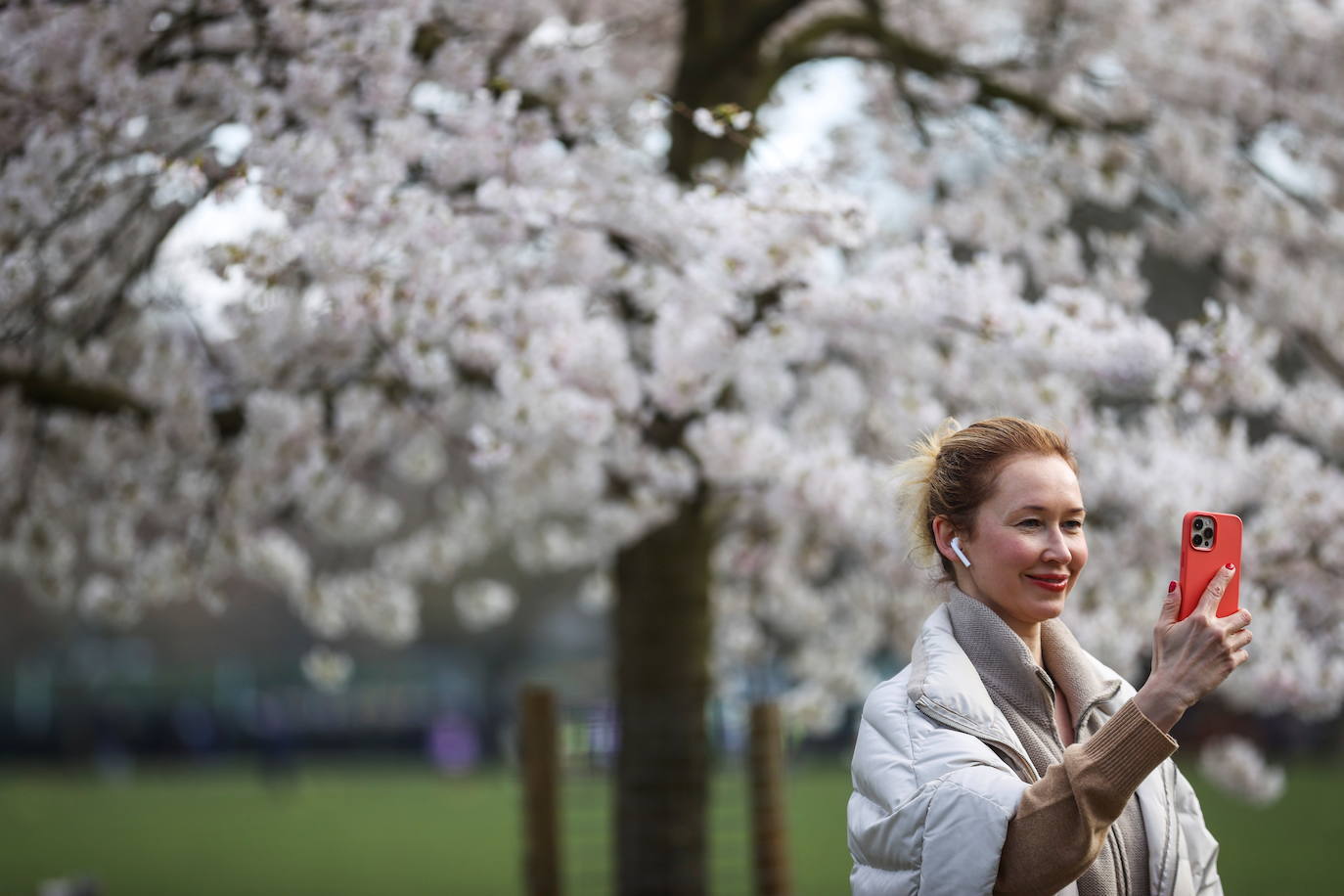 Con la primavera llega el 'Sakura' a Tokio, y a otros lugares del mundo. O lo que es lo mismo: la floración de los cerezos. Los colores que regalan hacen de Japón uno de los destinos turísticos preferidos por los viajeros