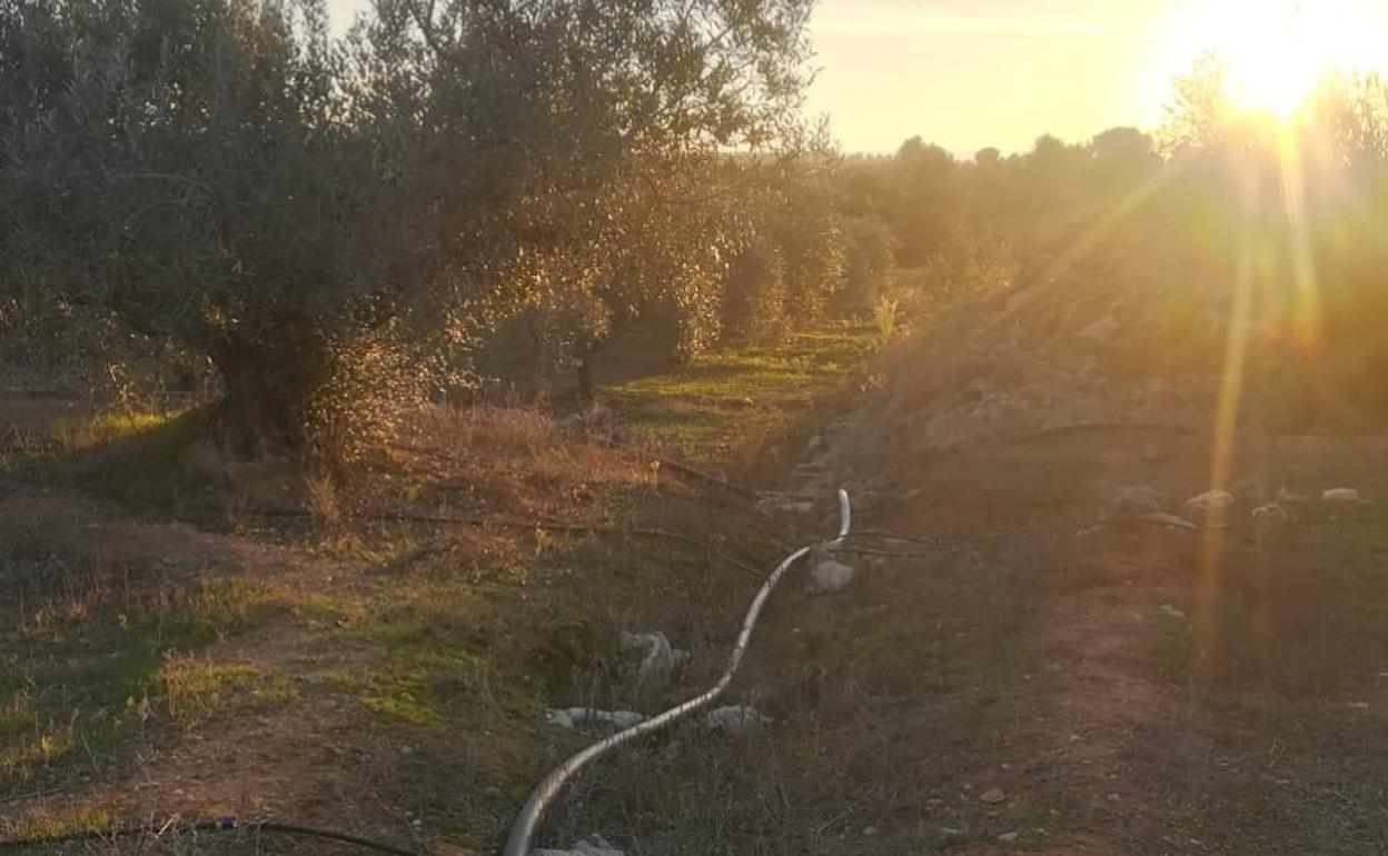 Denuncian presiones para vender solares a inversores de renovables en Navarrés
