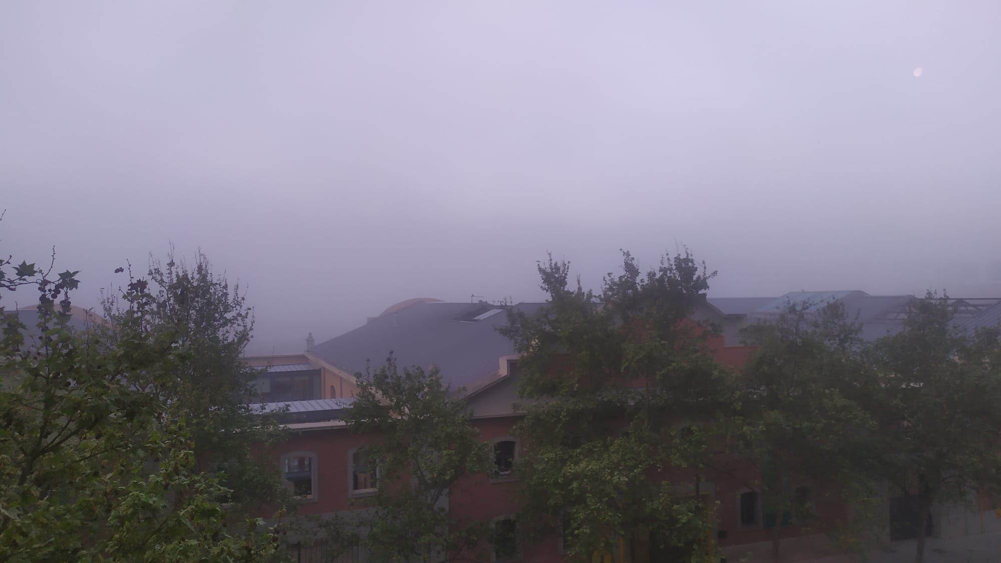 Fotos: Valencia amanece cubierta de niebla