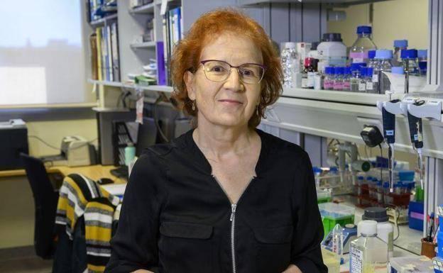 Margarita del Val pone un nuevo plazo a la pandemia del coronavirus