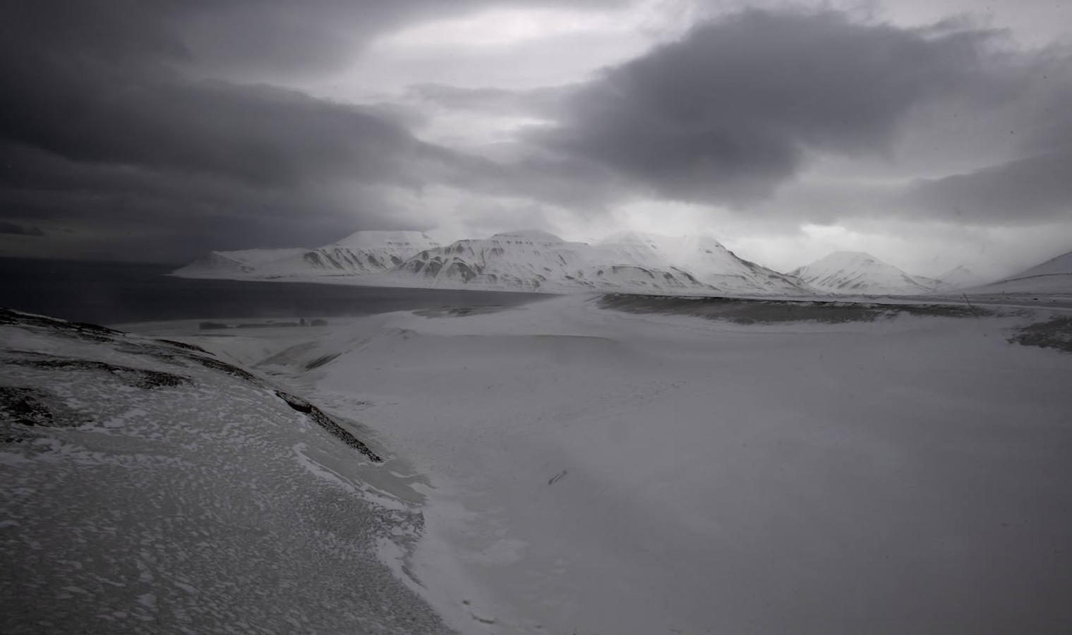 Fotos: Las impresionantes imágenes de naturaleza extrema en la isla de Svalbard