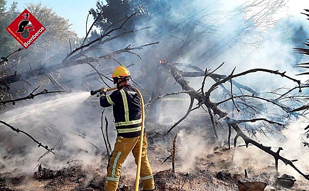 Incendio en una zona de arbolado en La Zenia, este lunes. 