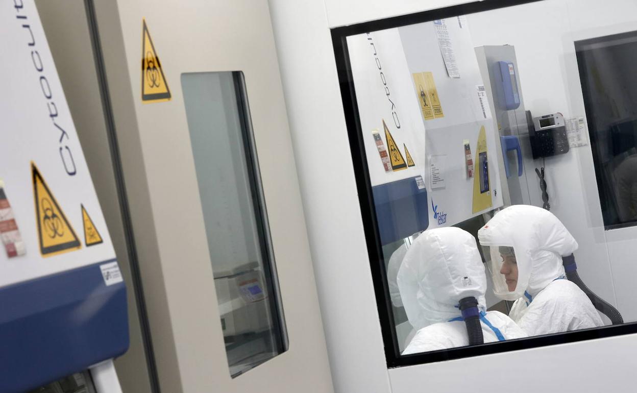 El trabajo en un laboratorio de Valencia. 