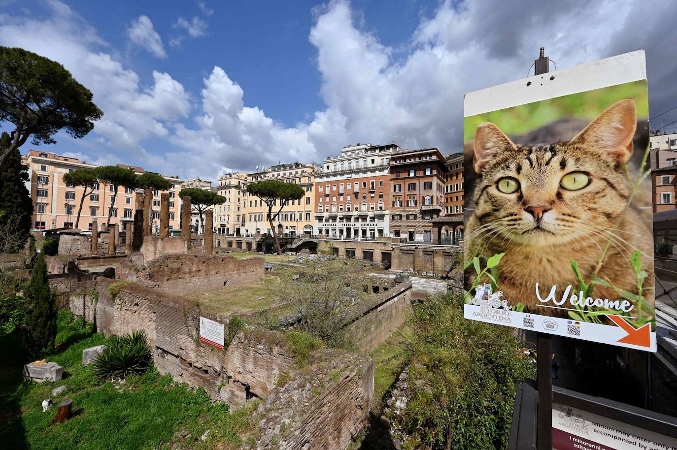 Fotos: Roma abrirá al público la zona donde asesinaron a Julio César