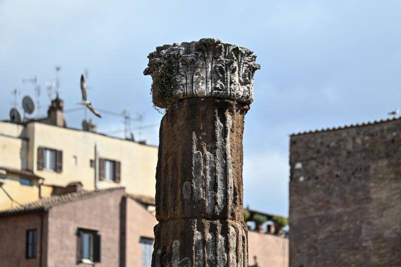 Fotos: Roma abrirá al público la zona donde asesinaron a Julio César