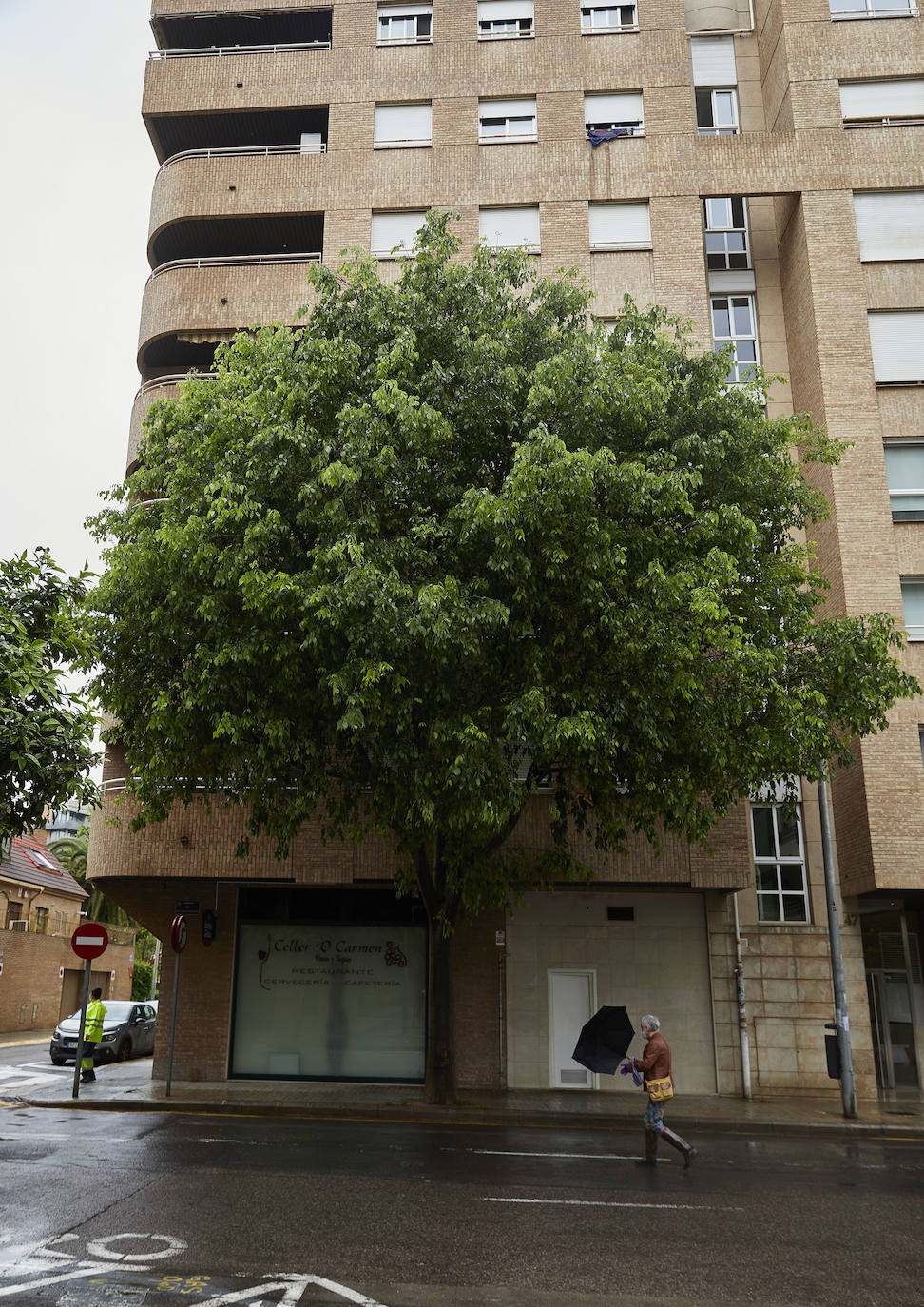 José Ramon y Marta, vecinos de Benimaclet, nos abren su casa para enseñarnos cómo viven con un árbol que prácticamente lo tiene pegado a la ventana. Llevan años intentado que el Ayuntamiento pode el árbol de 15 metros de altura.