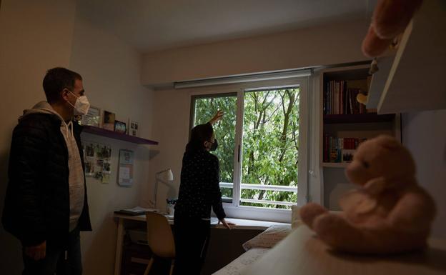 Imagen principal - Un árbol se cuela en un piso en Valencia | Vivir con un árbol en casa