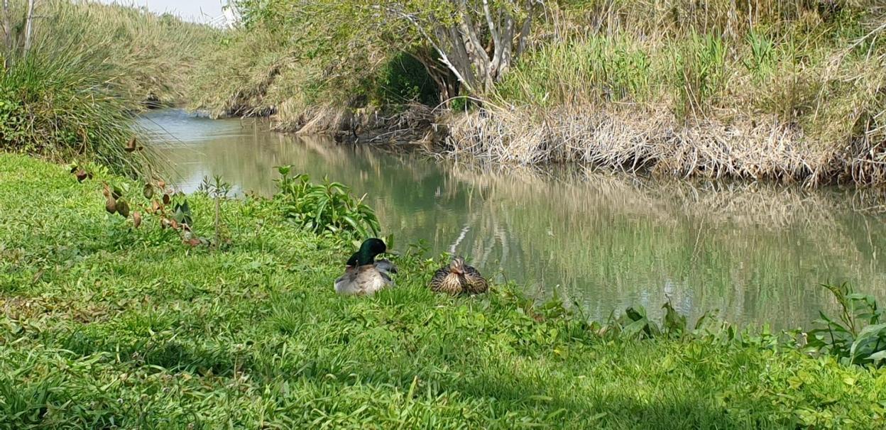 El Parque Natural del Turia, reclamo para el turismo y balón de oxígeno para la ciudadanía