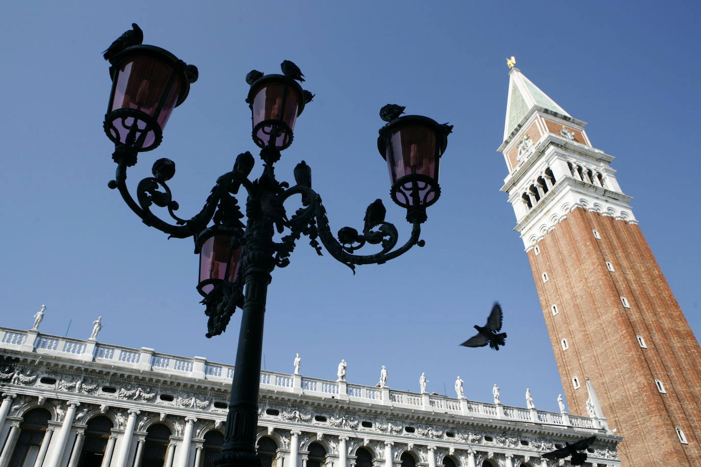 3.- Campanario de San Marcos (Venecia, Italia) | Es el campanario de la basílica de San Marcos en Venecia y está ubicado en una esquina de la plaza de San Marcos, cerca de la portada de la basílica. Es uno de los símbolos de la ciudad. Tiene una altura total de 98,6 metros. Su cuerpo principal, de ladrillo, es un prisma de base cuadrada de 12 metros de lado y 50 metros de alto, sobre el cual se asienta un campanario blanco con cuatro arcos por cara, que aloja cinco campanas. 