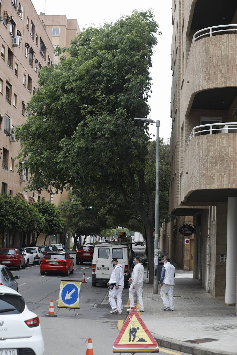 Tras años de quejas de los residentes del barrio de Benimaclet de Valencia, se ha podado un almez enorme que estaba pegado a la fachada de las casas de los vecinos. El árbol no les dejaba entrar la luz y era un nido de palomas, ratas y bichos. 