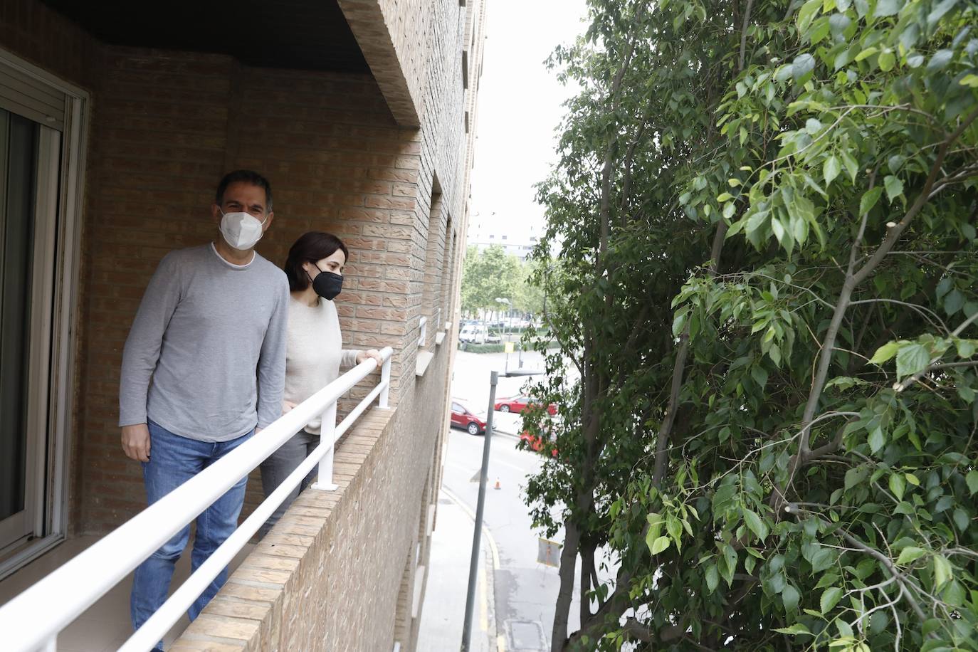 Tras años de quejas de los residentes del barrio de Benimaclet de Valencia, se ha podado un almez enorme que estaba pegado a la fachada de las casas de los vecinos. El árbol no les dejaba entrar la luz y era un nido de palomas, ratas y bichos. 