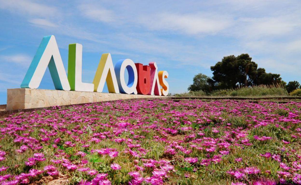 Las flores plantadas en el jardín de las letras. 
