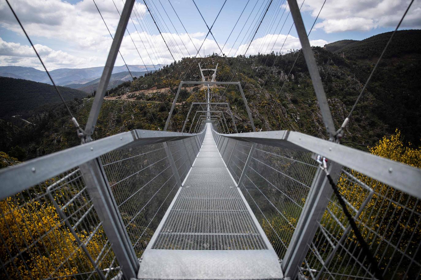 Portugal inauguró este jueves 29 de abril el puente peatonal suspendido más largo del mundo, a 175 metros sobre el río Paiva, en el norte, y que con sus 516 metros supera el récord establecido en 2017 por la pasarela Charles Kuonen de los Alpes suizos. El puente atraviesa un barranco granítico del municipio de Arouca y está formado por 127 planchas de rejilla con barandillas metálicas de 1,20 metros de ancho, sujetas por cables de acero a unos pilares en forma de 'V' situados a cada extremo.