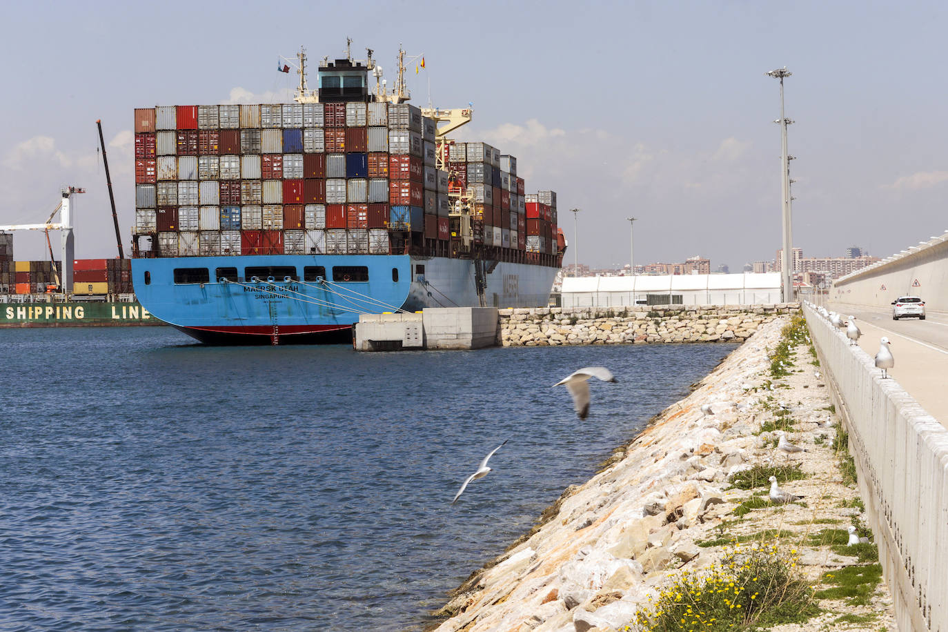 El brote de Covid en los dos barcos aislados en el Puerto de Valencia suma ya 13 contagios. Los buques El Skiathos I y El Maersk UTAH permanecen en cuarentena en aguas valencianas