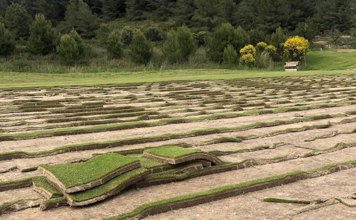 Los trabajos de reforma agronómica en La Sella Golf. 