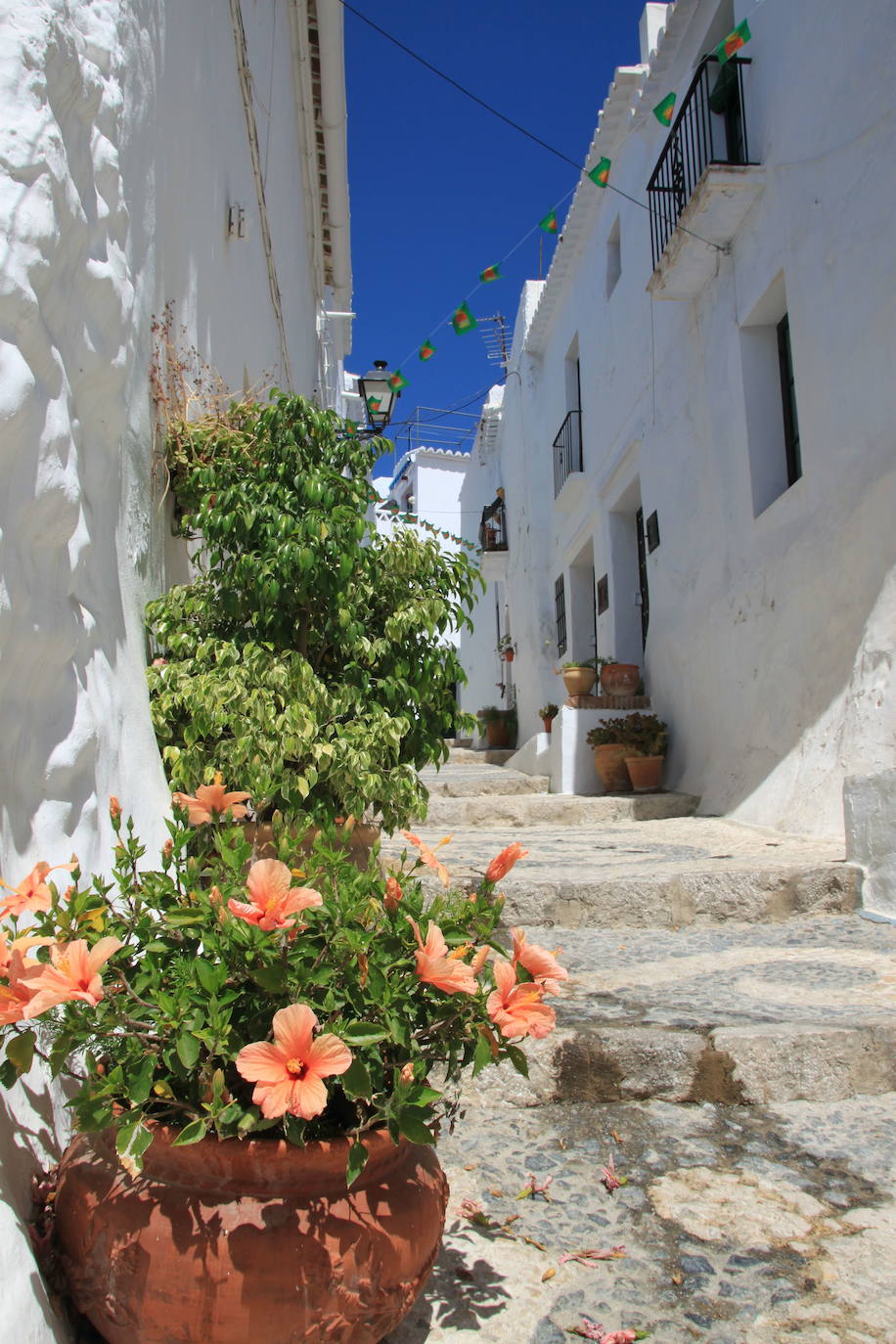 8.- Frigiliana (Málaga, Andalucía) | 3810 Búsquedas/mes. A los pies de la Sierra de Almijara, rodeada de colinas verdes y con el Mediterráneo en el horizonte, se descubre Frigiliana. El típico pueblo andaluz que cualquiera podría tener en mente, con estrechas callejuelas, casas encaladas decoradas con bonitas flores de colores y el rumor de fondo del agua de las fuentes. Son muchos los atractivos que traen cientos de visitantes cada año a este pueblo malagueño, hasta el punto de haber sido galardonado en varias ocasiones como el pueblo más bonito de Andalucía. Lo que no te puedes perder, según Holidú: la Casa del Apero y el casco histórico.