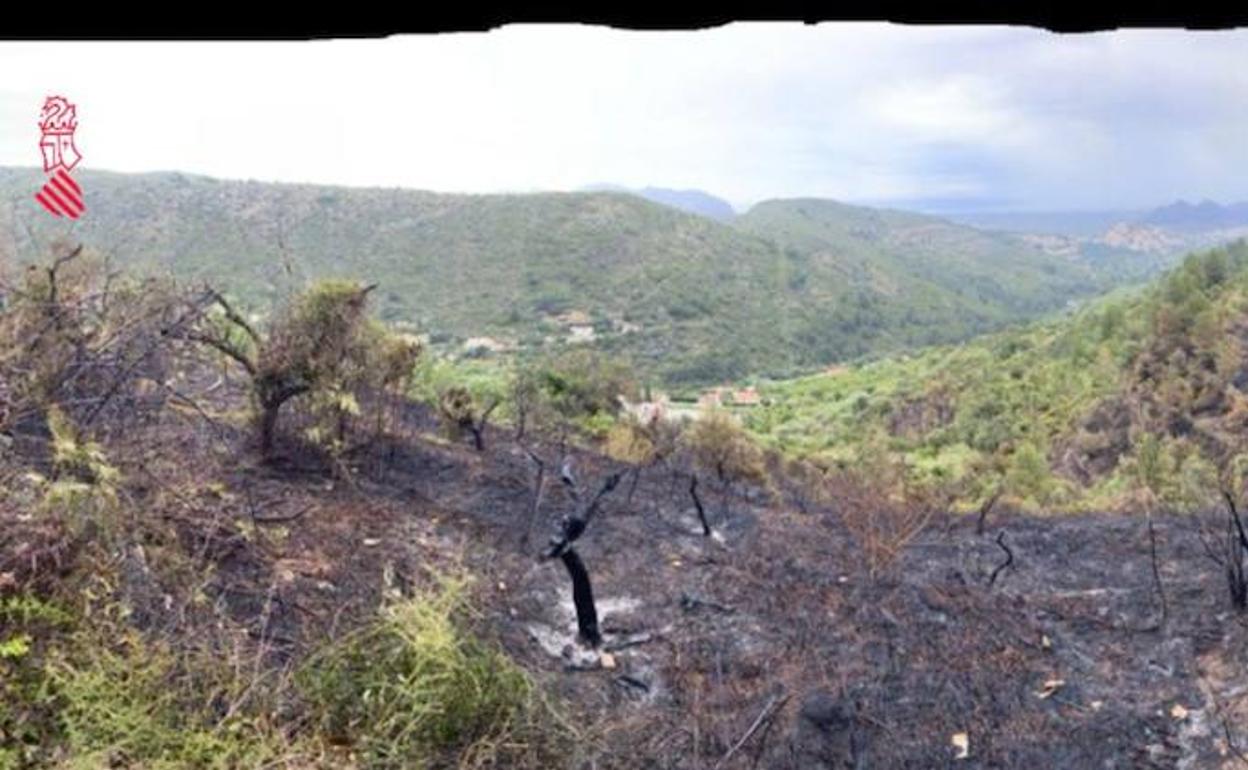 Parte de la superficie arrasada por las llamas en el incendio de Alcalalí. 