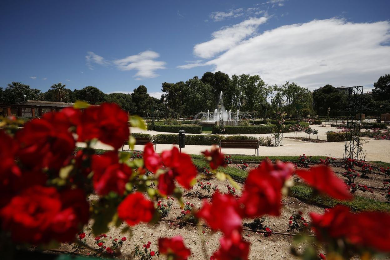 La rosaleda del jardín de Viveros, ayer. jesús signes