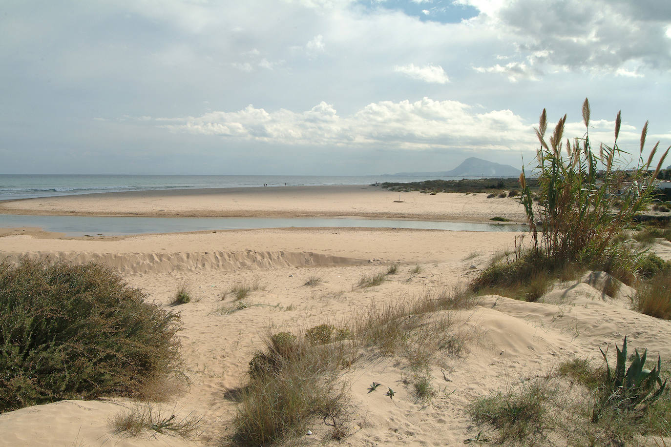 Playa de Oliva