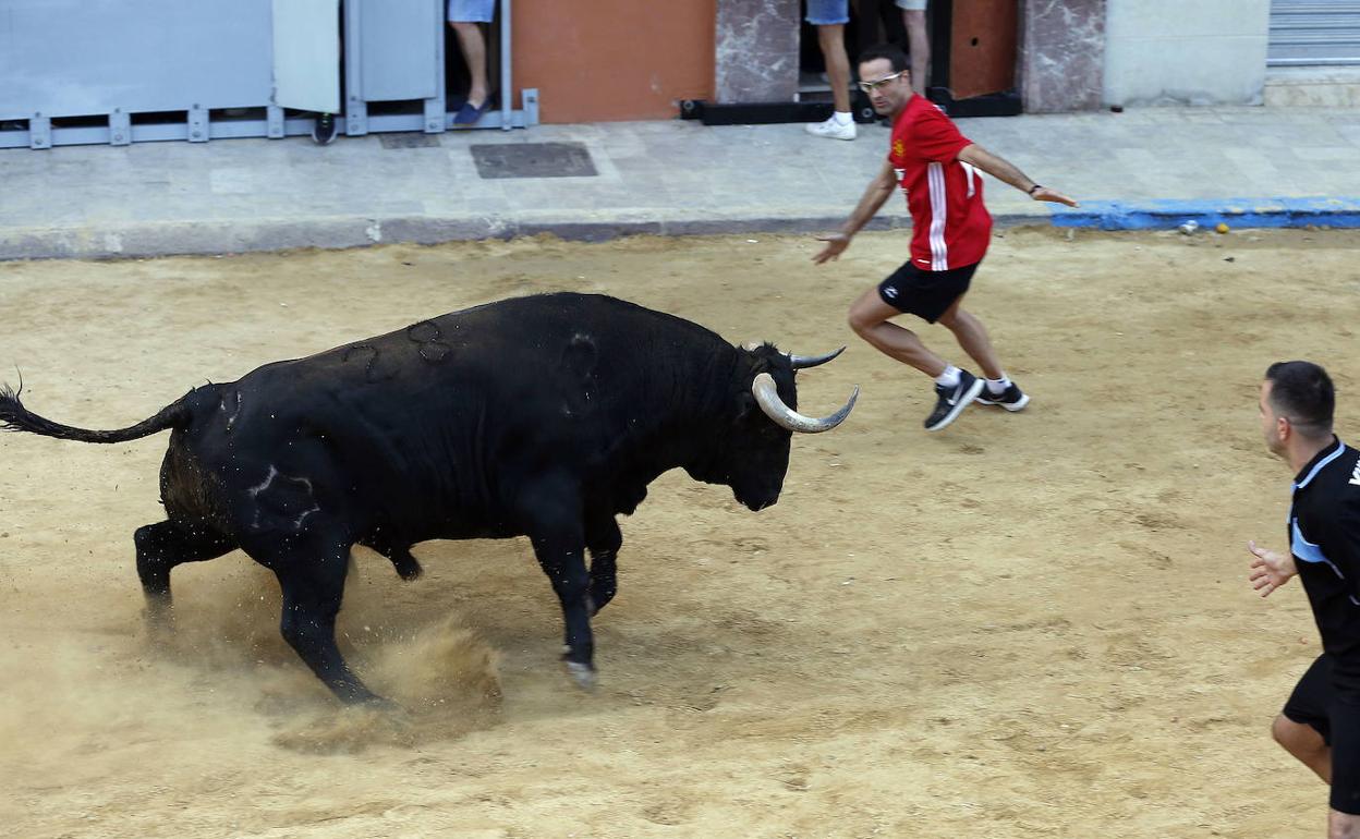 Un festejo de bous al carrer. 