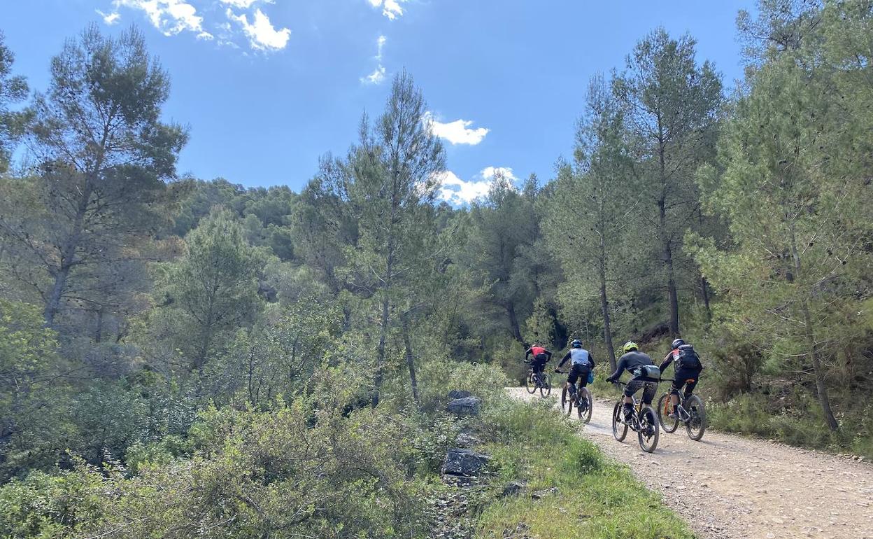 Parque Natural de la Sierra Calderona. 