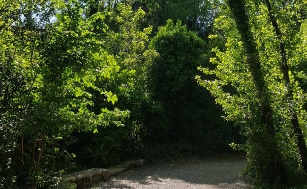 Entrada al frondoso Bosque de la Ribera donde el ritmo de los corredores tiende a frenarse. 