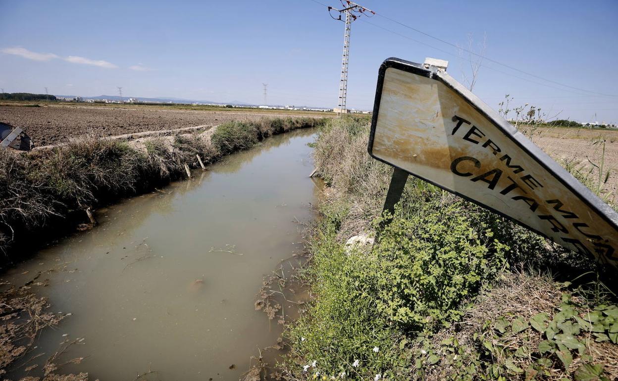 Acequia con agua estancada en un arrozal de la Albufera en Catarroja. 