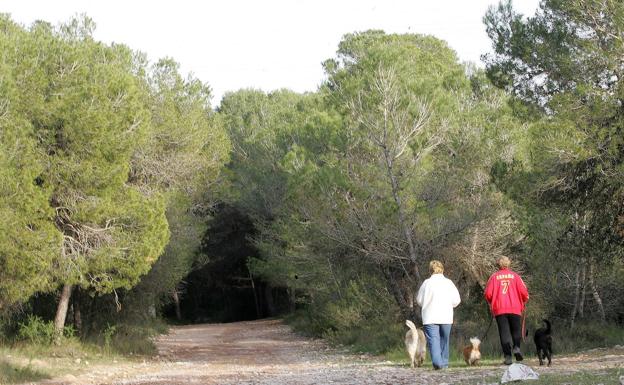 Rescatan a 16 senderistas, dos de ellos inconscientes, en la Cueva de los Moseguellos de Moixent