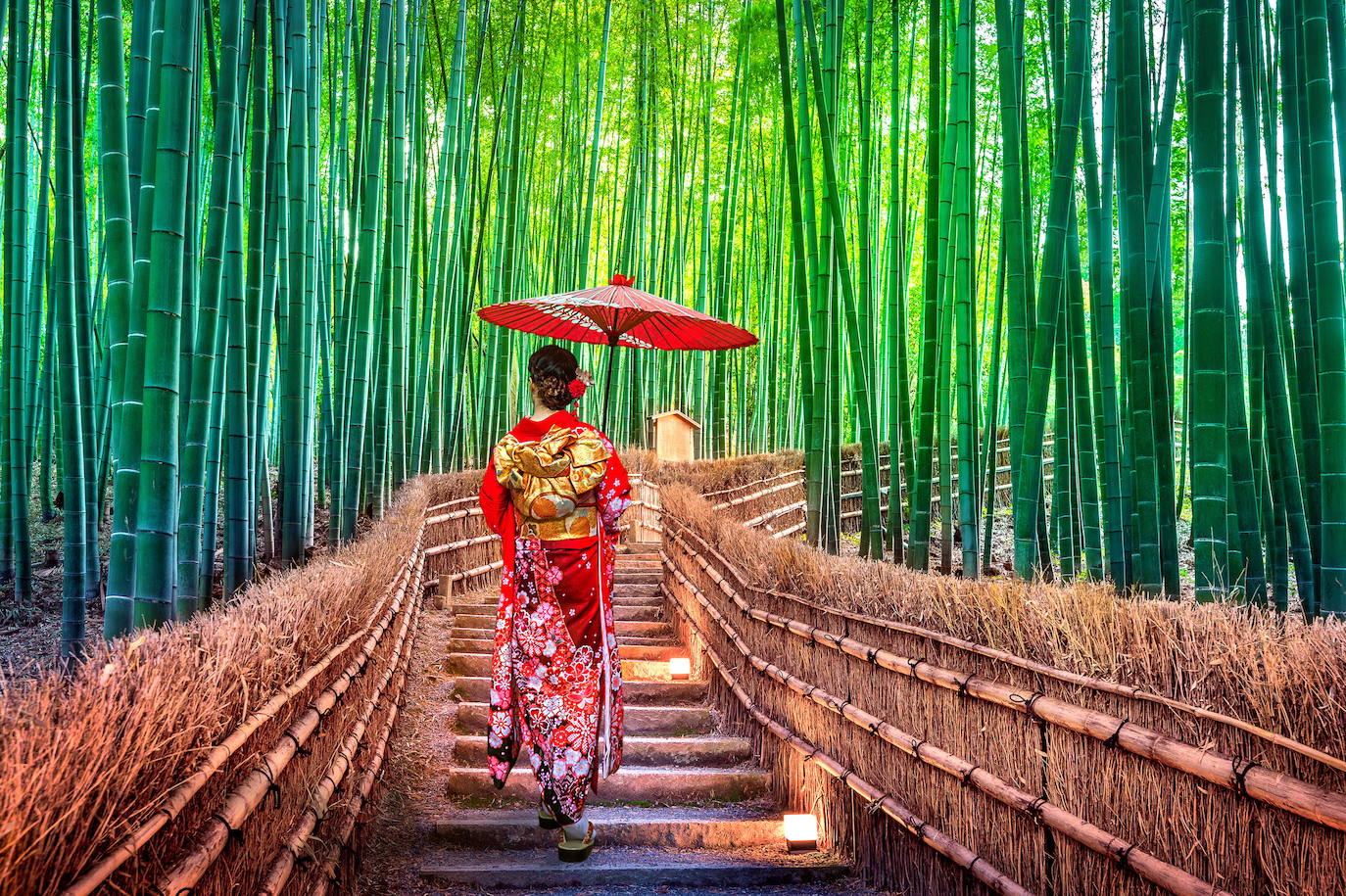 Bamboo Forest (Kyoto)