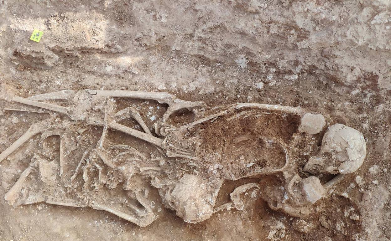 Uno de los restos óseos encontrados. 