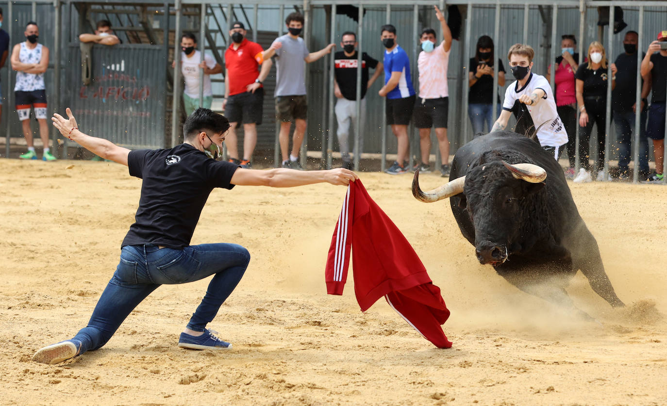 Meliana se ha convertido en el primer municipio valenciano en recuperar los bous al carrer en una primera fase.