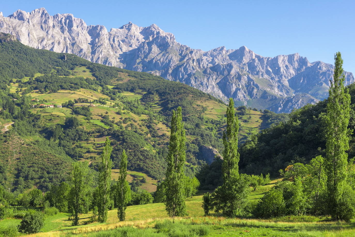 NARANJO DE BULNES (ASTURIAS) | El Naranjo de Bulnes, conocido en asturiano como Picu Urriellu, es una de las cimas más fotogénicas de los Picos de Europa. Tiene una altitud de 2.519 metros y es una de las cimas emblemáticas del alpinismo español, especialmente por los 550 metros de pared vertical de su cara oeste. La ruta completa tiene una duración de seis horas y a través de ella se transitará por aldeas de montaña y caminos zigzagueantes.