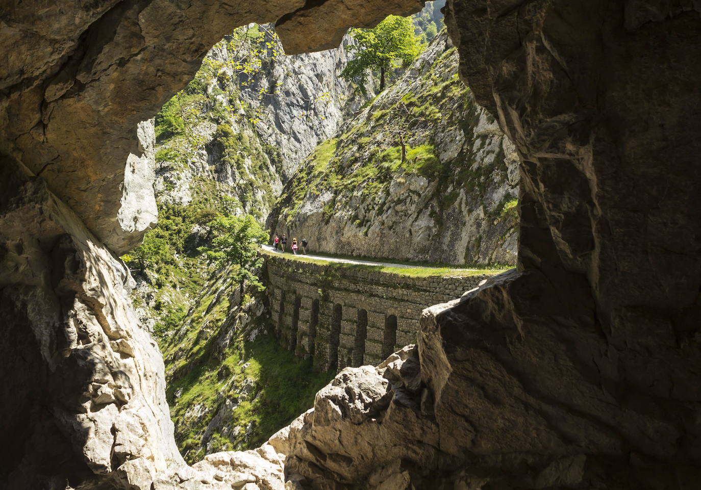 RUTA DEL CARES (PICOS DE EUROPA, ASTURIAS) | En el Parque Nacional de los Picos de Europa, uno de los más visitados de España, se encuentra uno de los itinerarios de senderismo más conocidos, la Ruta del Cares. Mediante unos 12 kilómetros de recorrido, une las provincias de Asturias y León. Esta senda recibe su nombre del río Cares, que la acompaña durante todo el camino, aunque también es conocida como la Divina Garganta. El visitante transitará por caminos estrechos y desfiladeros.