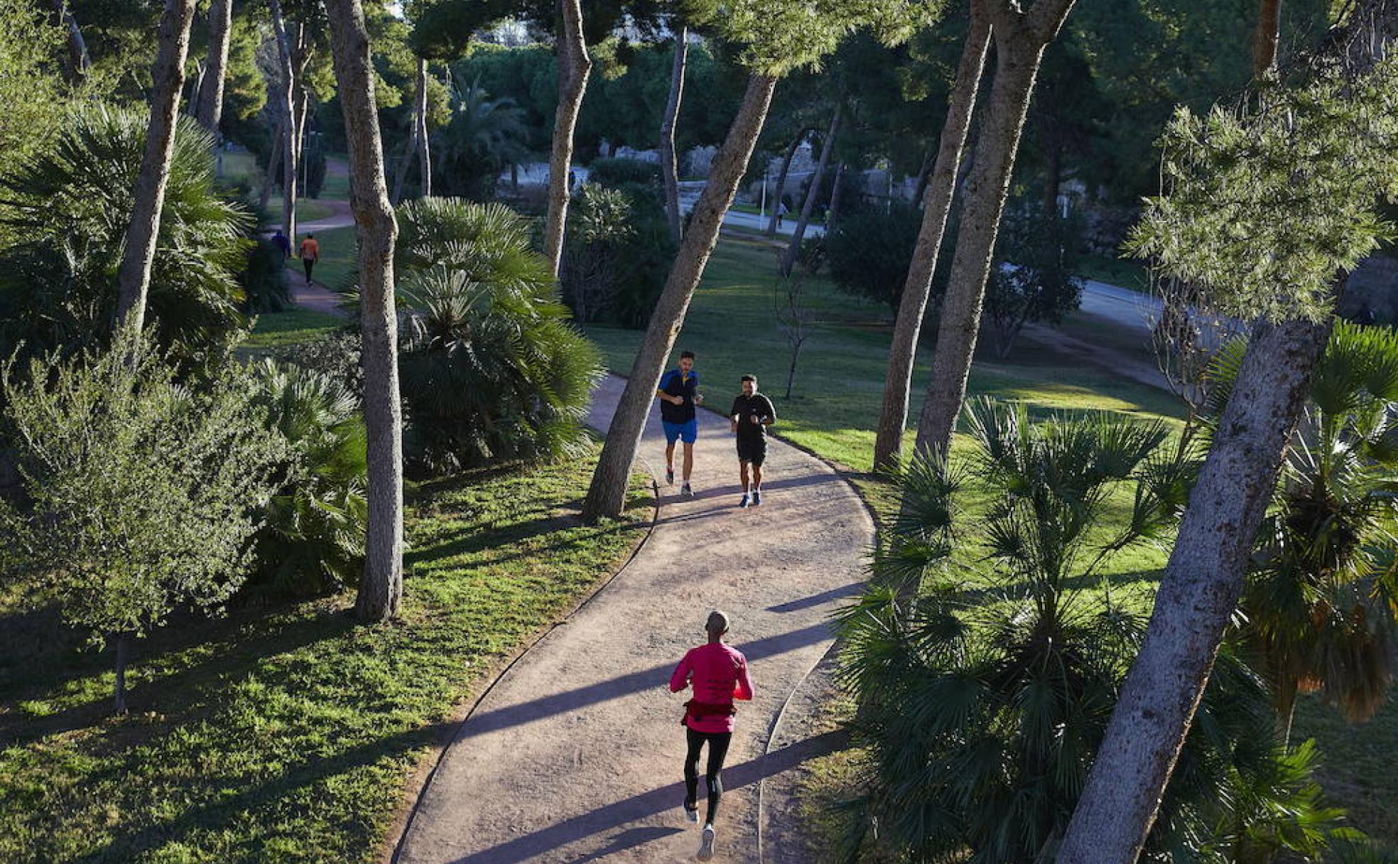 El Circuit 5k Jardí del Turia permite a los runners practicar la carrera a pie sin tener que abandonar la ciudad de Valencia. 