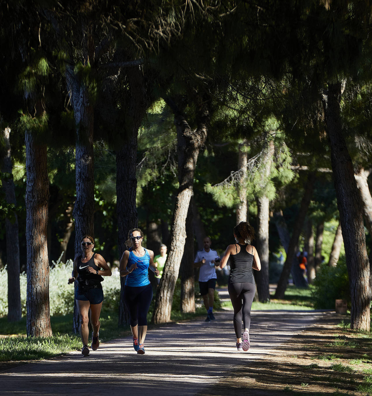 Fotos: Búscate en el Circuito 5K del Cauce del Turia de Valencia