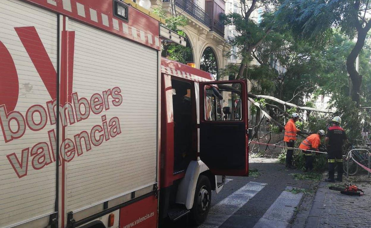 Vehículo de bomberos en un servicio por la caída de un árbol en Valencia. 