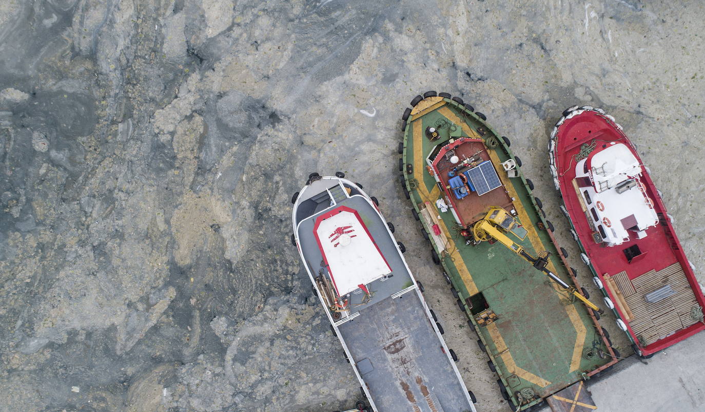 El calentamiento global ha hecho que una capa de mucosidad se extienda por el mar de Mármara, en Turquía. La sustancia se forma como resultado de la proliferación de microalgas. La principal razón de este fenómeno es que la temperatura del agua en el mar se encuentra 2,5 grados por encima de la media de los últimos 40 años.