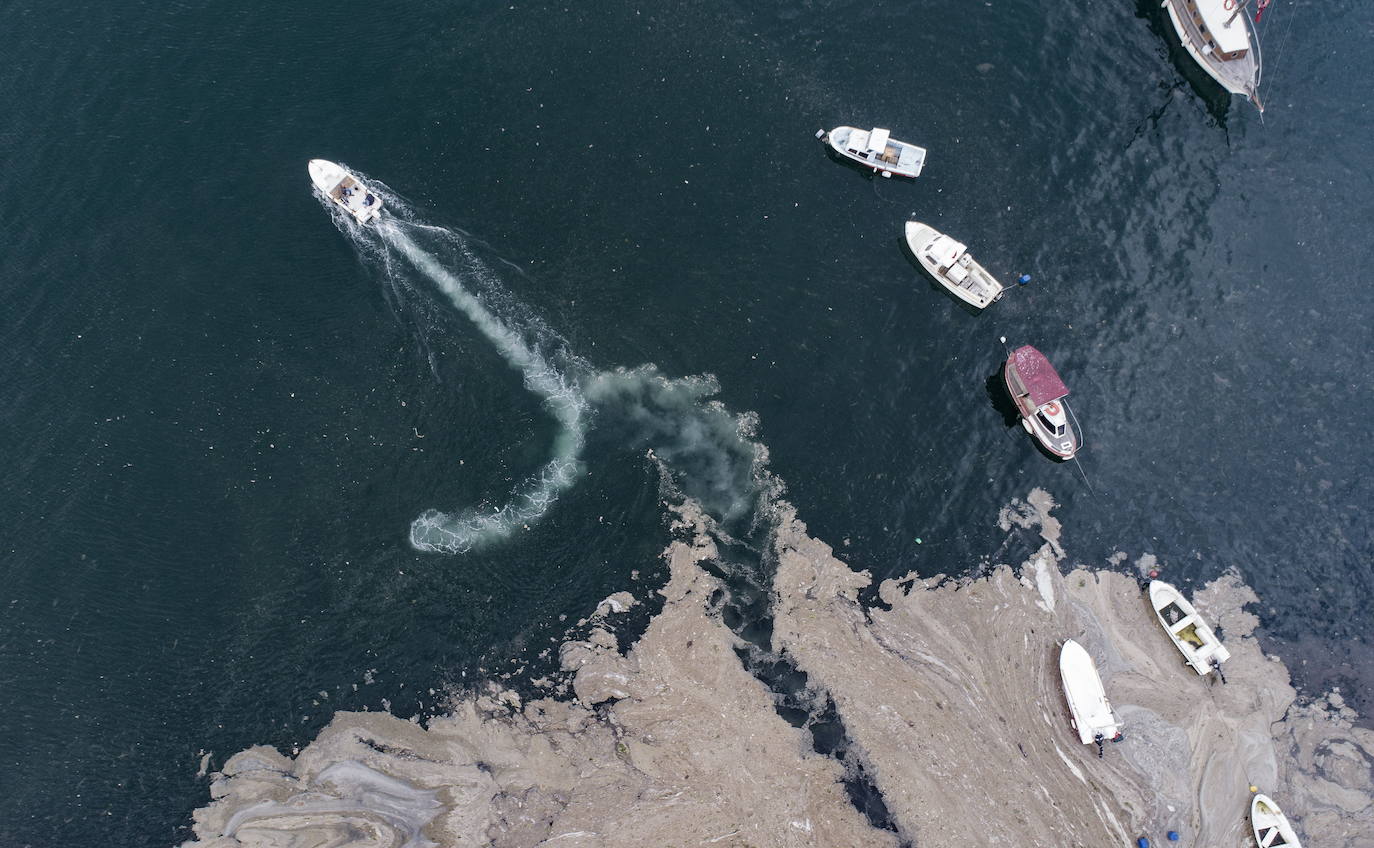 El calentamiento global ha hecho que una capa de mucosidad se extienda por el mar de Mármara, en Turquía. La sustancia se forma como resultado de la proliferación de microalgas. La principal razón de este fenómeno es que la temperatura del agua en el mar se encuentra 2,5 grados por encima de la media de los últimos 40 años.