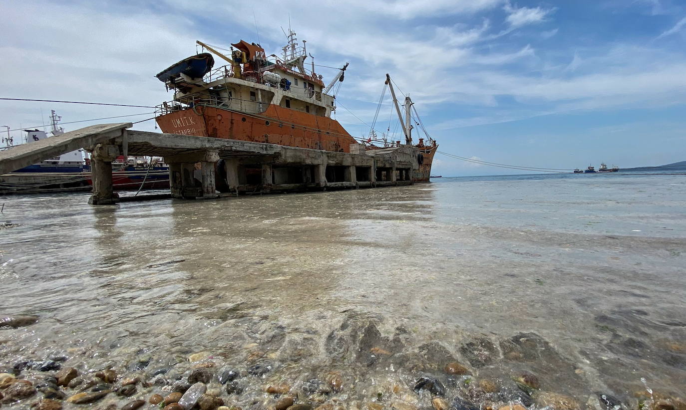 El calentamiento global ha hecho que una capa de mucosidad se extienda por el mar de Mármara, en Turquía. La sustancia se forma como resultado de la proliferación de microalgas. La principal razón de este fenómeno es que la temperatura del agua en el mar se encuentra 2,5 grados por encima de la media de los últimos 40 años.