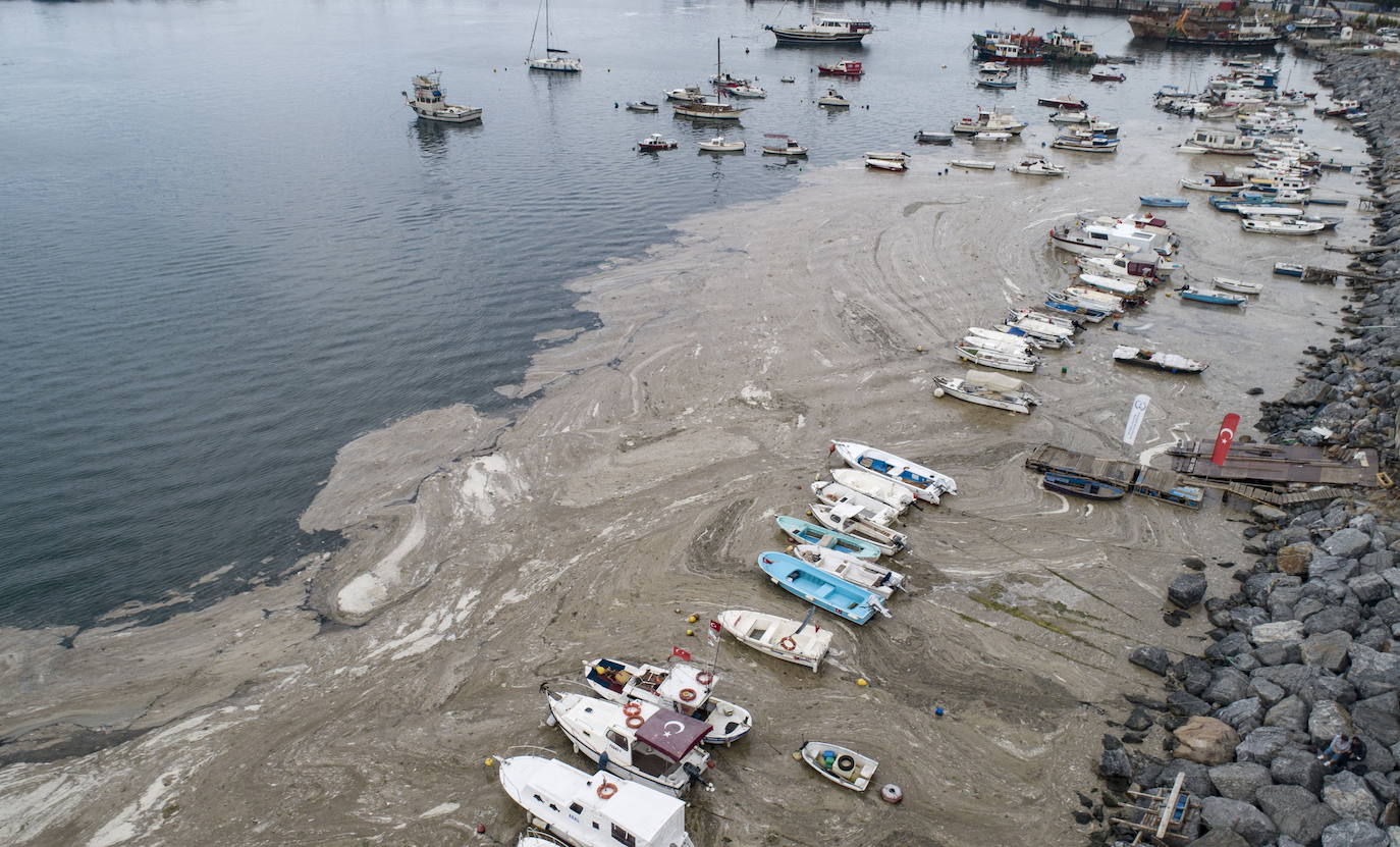 El calentamiento global ha hecho que una capa de mucosidad se extienda por el mar de Mármara, en Turquía. La sustancia se forma como resultado de la proliferación de microalgas. La principal razón de este fenómeno es que la temperatura del agua en el mar se encuentra 2,5 grados por encima de la media de los últimos 40 años.