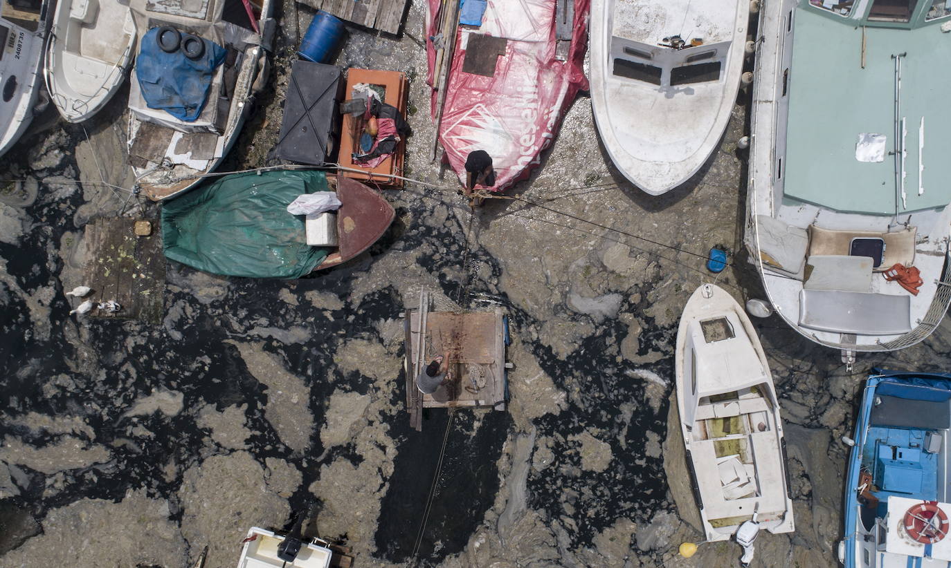 El calentamiento global ha hecho que una capa de mucosidad se extienda por el mar de Mármara, en Turquía. La sustancia se forma como resultado de la proliferación de microalgas. La principal razón de este fenómeno es que la temperatura del agua en el mar se encuentra 2,5 grados por encima de la media de los últimos 40 años.