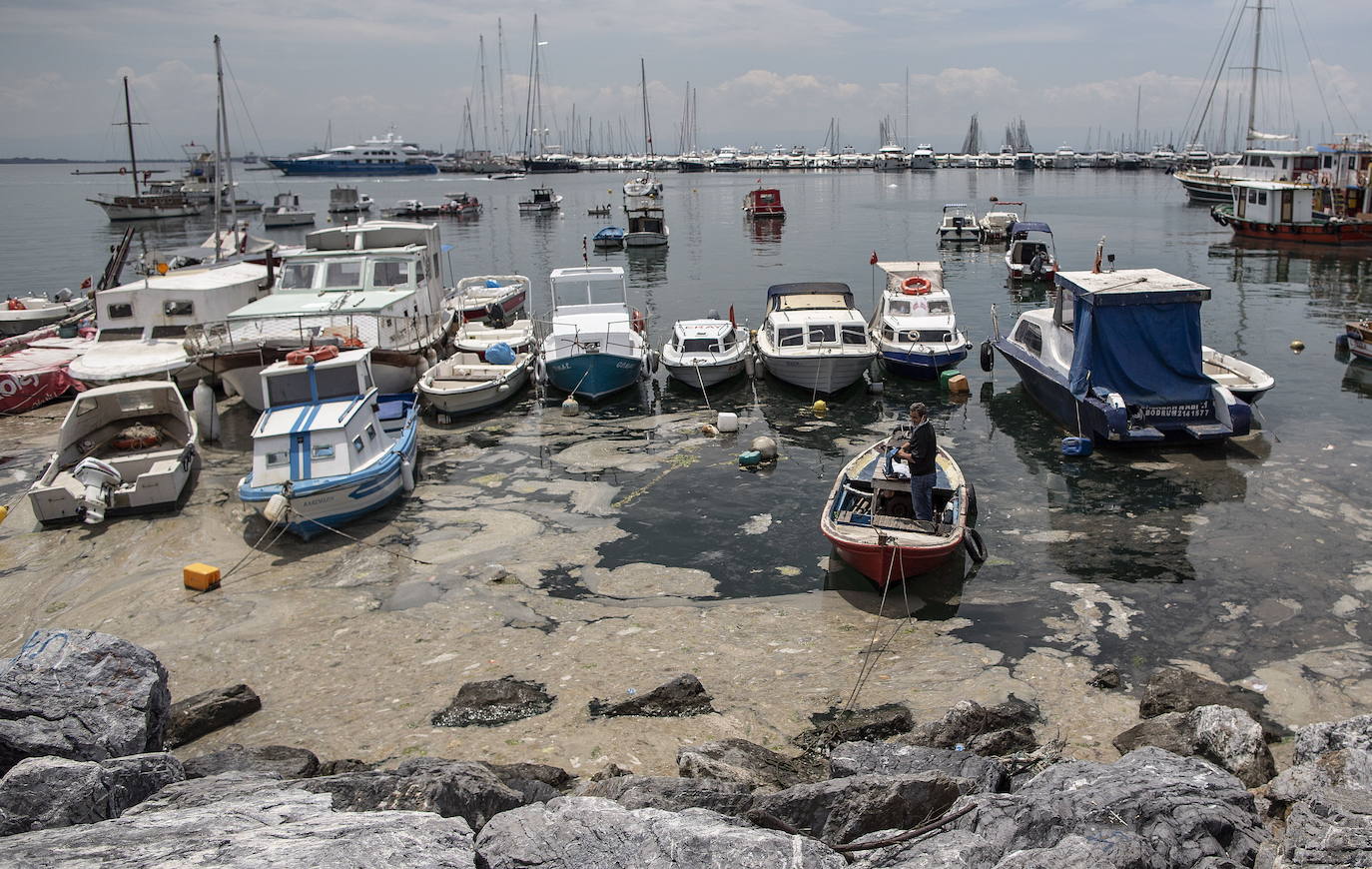 El calentamiento global ha hecho que una capa de mucosidad se extienda por el mar de Mármara, en Turquía. La sustancia se forma como resultado de la proliferación de microalgas. La principal razón de este fenómeno es que la temperatura del agua en el mar se encuentra 2,5 grados por encima de la media de los últimos 40 años.