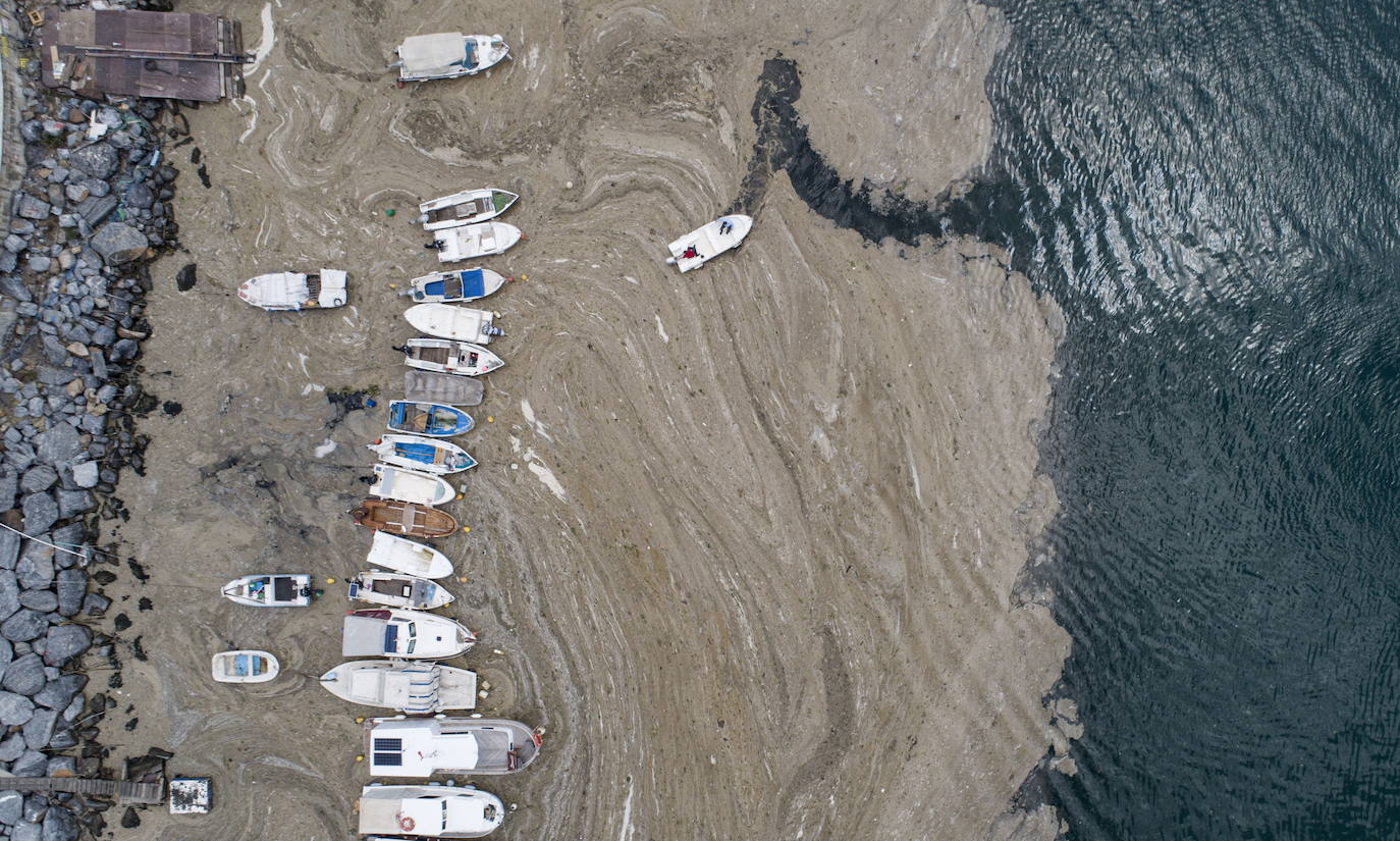 El calentamiento global ha hecho que una capa de mucosidad se extienda por el mar de Mármara, en Turquía. La sustancia se forma como resultado de la proliferación de microalgas. La principal razón de este fenómeno es que la temperatura del agua en el mar se encuentra 2,5 grados por encima de la media de los últimos 40 años.