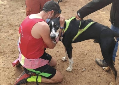 Imagen secundaria 1 - Canicross: cómo correr con tu perro