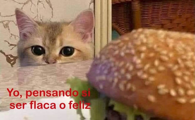 Las hamburguesas no dan la felicidad, pero ayudan 